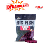 Bouillette BIG FISH Robin red 1.8 kg dynamit bait 20 mm