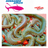 MINI Boite dur vertes  25 g normandie appats