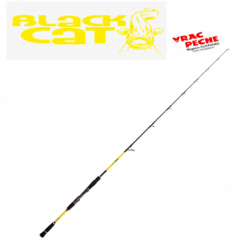 Moulinet Passion PRO FD 6000