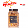 CARPTEC  SEED MIX 1 litre dynamit bait