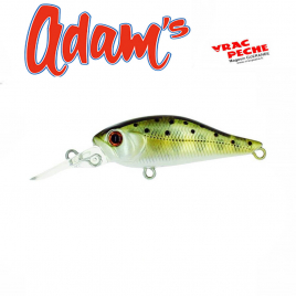 Minnow 65 SP Adam s