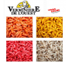 Asticots Multicolors vrac
