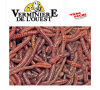 boite Vers Dendros 200cc