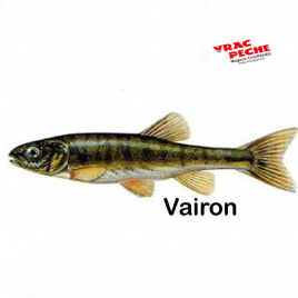 Vif gardon