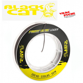 Front zone leader 100/100 black cat