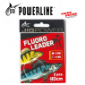 Bas de ligne Fluoro LEADER 40 cm powerline