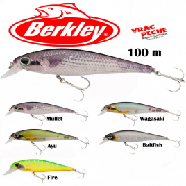 DEX FAT Bullet 100 mm berkley