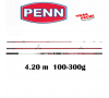 Canne Surfcasting PENN TIDAL 423  100-300g