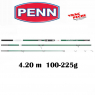 Canne Surfcasting PENN TIDAL 423  100-300g