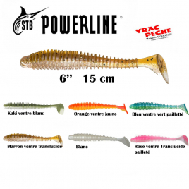 Leurre souple LTS 5'' 12.5 cm  powerline