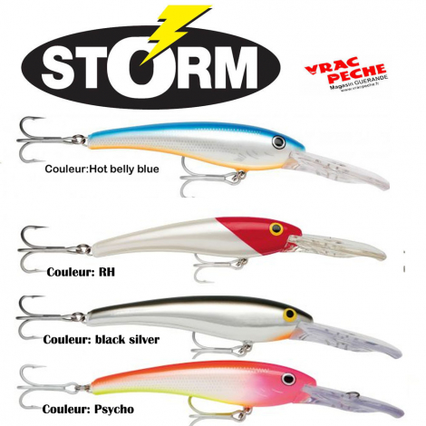 leurre 360 GT COASTAL shad STORM 12cm