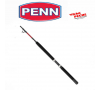 Canne  Warfare trolling  1.70m  30/50 lbs penn
