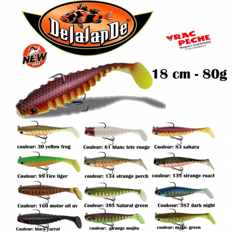 Leurre SHAD GT 22 cm delalande