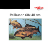 Paillasson 60x40 cm Carpe 1