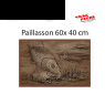 Paillasson 60x40 cm Carpe 3