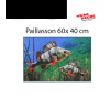 Paillasson 60x40 cm perch