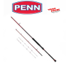 Canne  squadron III Boat sensitive 300 300 g penn