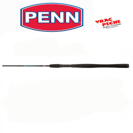 Canne Prevail II LE SW spin 242  75-150g penn