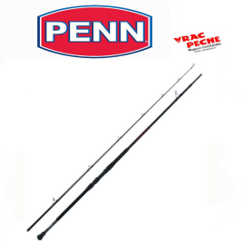 Canne  legend cat silver spin 240  40 -160 g penn