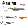 Jig shore casting  powerline