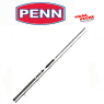 Canne  legend cat silver spin 240  40 -160 g penn