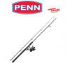 Ensemble Wrath II labrax 802 20-50 g PENN