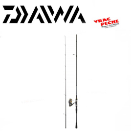 Ensemble daiwa DW 802 HFS BF + DW 4000 B