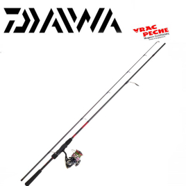 Ensemble daiwa DW 802 HFS BF + DW 4000 B