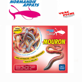 Boite dur vertes  normandie appats