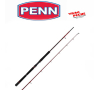 Canne  squadron III boat 212 12/20 lb penn