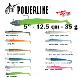 Leurre souple LTS 6'' 15 cm  powerline