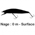 Nage 0 m  Surface 