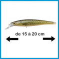 15 à 20 cm