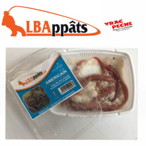 Boite americain LBA appats