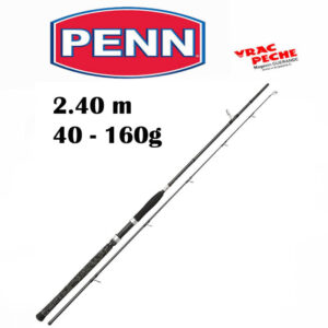 Canne  legion cat silver spin 240  40 -160 g penn
