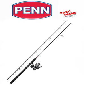 Ensemble Pursuit IV spinning 229 14/40 g PENN