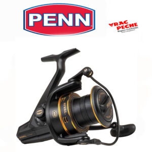 Moulinet Rival 6000 LC Gold PENN