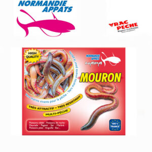 Boite de 6 à 10  mourons  normandie appats