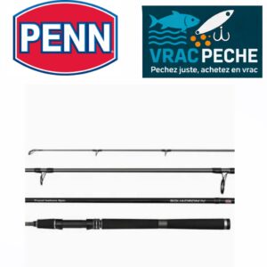 Canne TRAVEL Squadron IV SW spin 240 75-150g penn