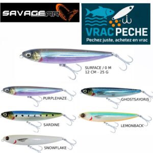Leurre REVMAG WALKER 12 CM FLOTTANT 25 G SAVAGEAR