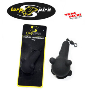 Plomb sonde 112g carpspirit