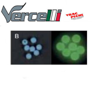 Sachet  perles molles Rondes Bleues vercelli