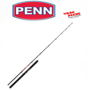 Canne warfare troilling light 1+1 12 -20 lbs PENN