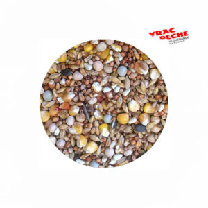 Particle megamix cru en vrac