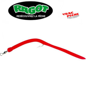 Anguill rouge normand  ragot