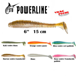 Leurre souple LTS 6'' 15 cm  powerline