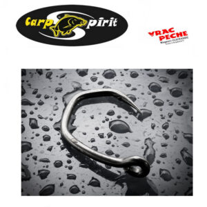 Hamecon  V curve sans ardillon carpspirit