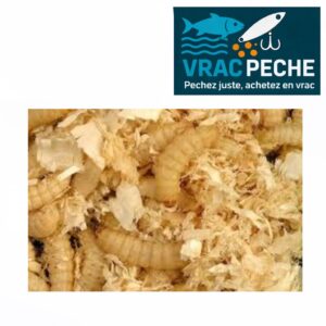 Boite de vers TEIGNES Blanches( boite de 10g environs)