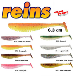 leurre souple S cape shad 2.5 pouces REINS