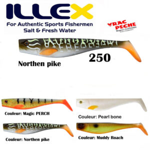 Dexter shad 250 Blister ILLEX